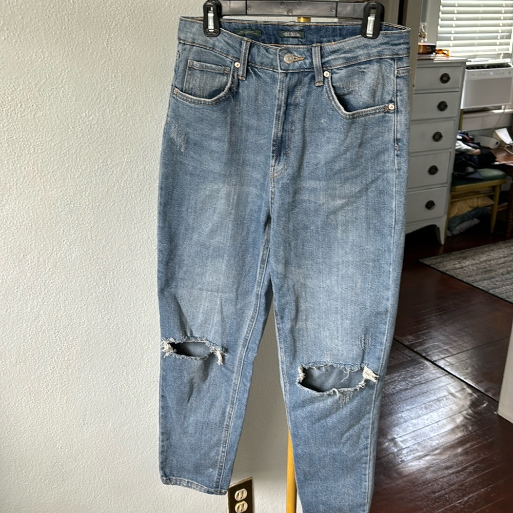 Wild Fable Ripped Jeans